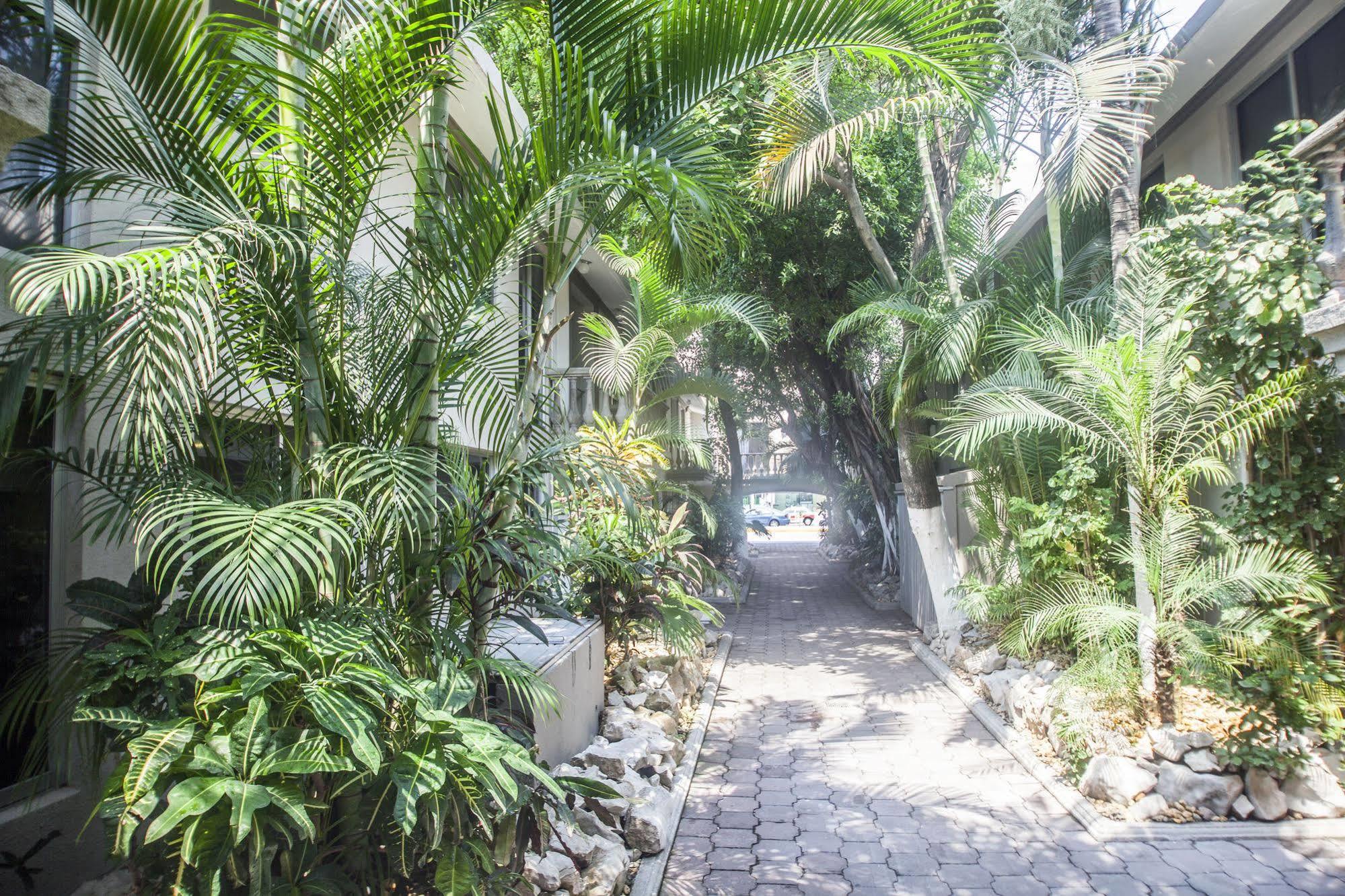 Suites Lafragua